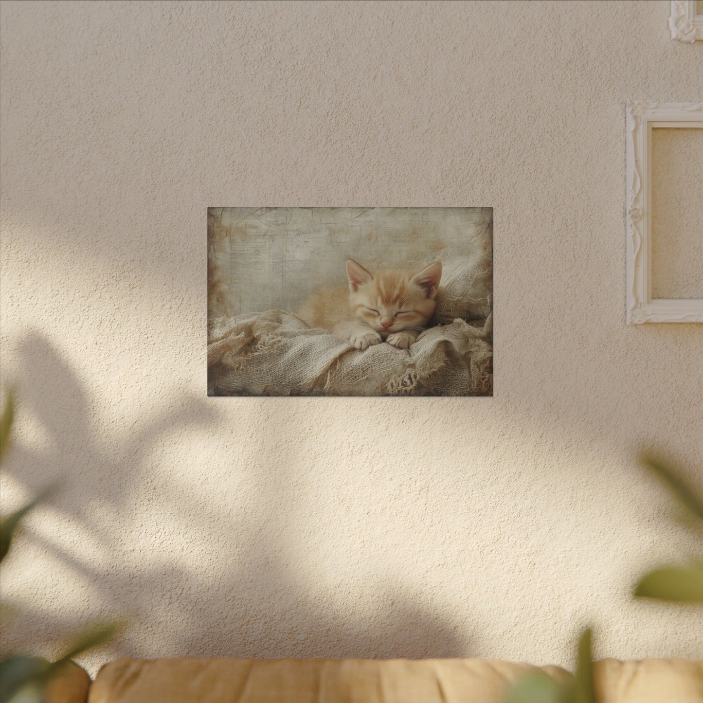 Cat Nap Canvas Wall Art