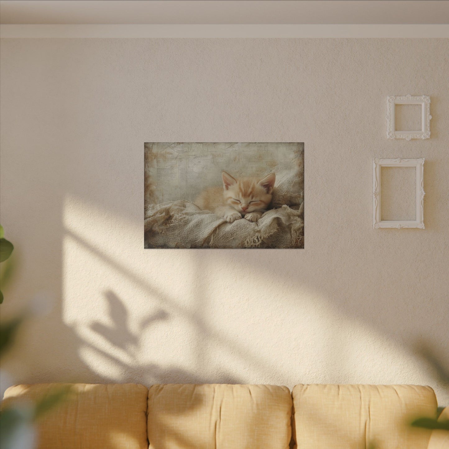 Cat Nap Canvas Wall Art