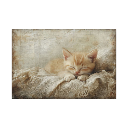 Cat Nap Canvas Wall Art