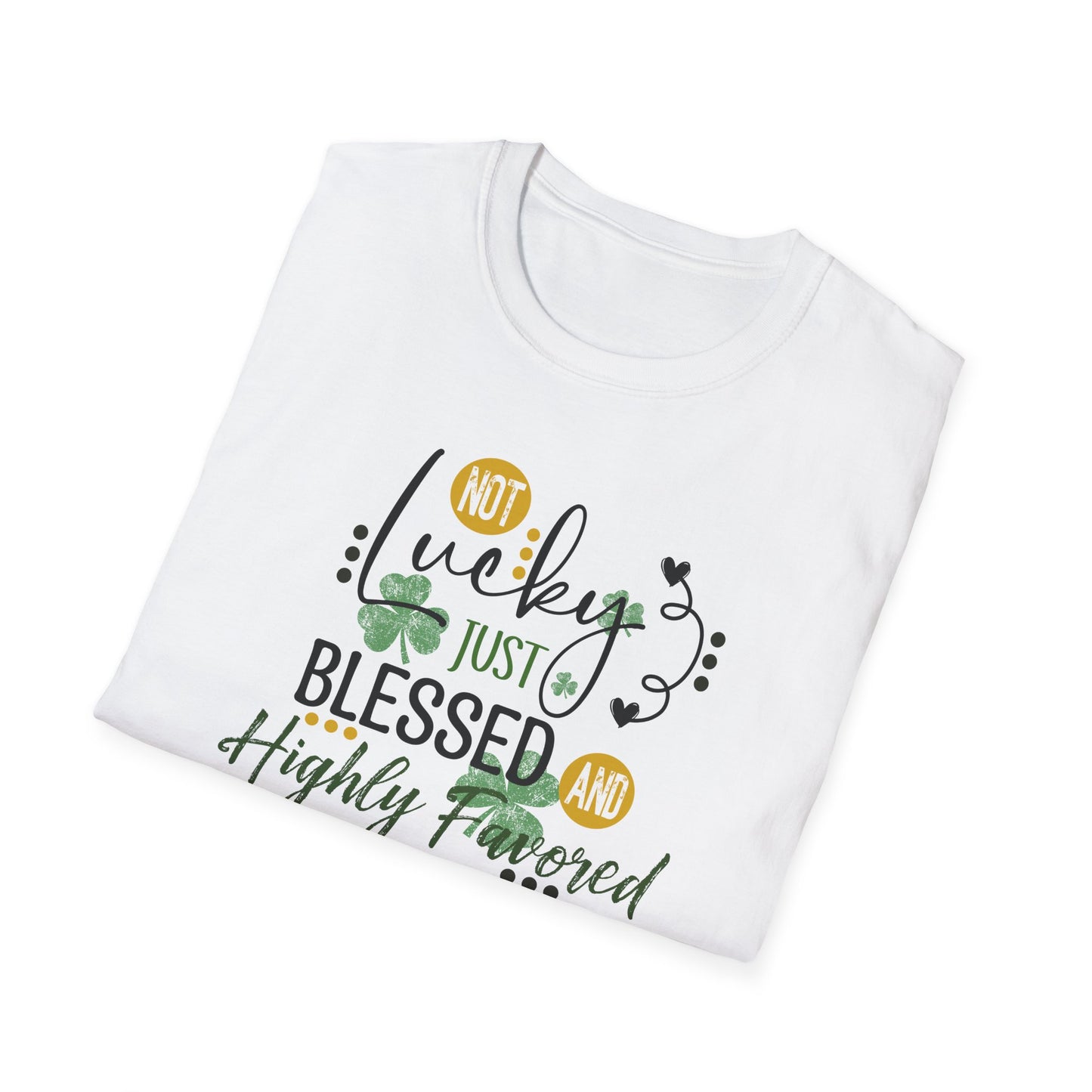 Highly Blessed Softstyle T-Shirt